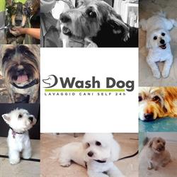 Wash Dog Brescia Via del Sebino, orari di apertura