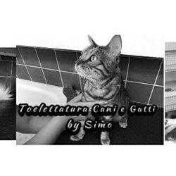 Simo Toelettatura, Diano Marina orari di apertura