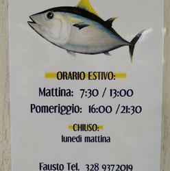 TUTTO PESCA, Campomarino orari di apertura