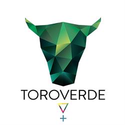 TOROVERDE, Torino orari di apertura