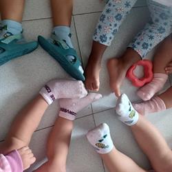 Nido famiglia Cavalluccio marino di Serena Massarani Lodi, San Bernardo - Orari di apertura