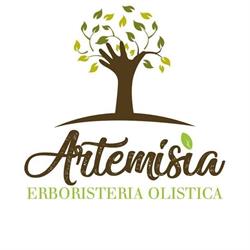 Artemisia Asti, orari di apertura