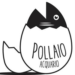 Pollaio, Padova orari di apertura