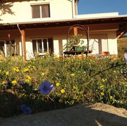 Casa legno e lana b&b'., Sogliano al Rubicone orari di apertura