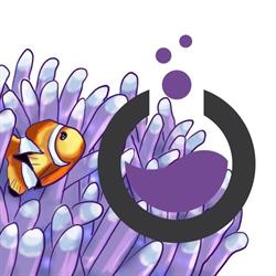 Oceanlife S.r.l., Medicina orari di apertura