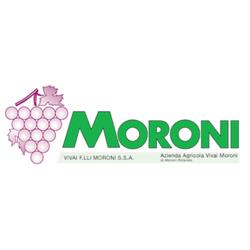 Vivai Moroni, Crespina Lorenzana orari di apertura