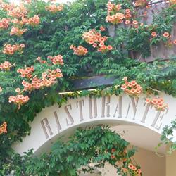 Ristorante Il Calderone, Tignale orari di apertura