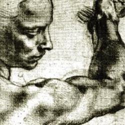 Scuola di Naturopatia IMG Padova, Limena orari di apertura