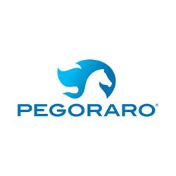 Pegoraro Gas Technologies Srl, Arcugnano orari di apertura