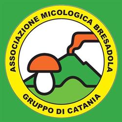 Associazione Micologica Bresadola - Gruppo di Catania, orari di apertura