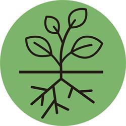 FLORICOLTURA BORTOLOZZO, Mirano orari di apertura