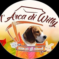 l'arca di willy, Foggia orari di apertura