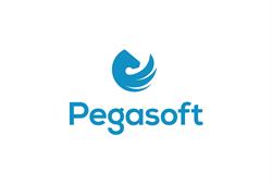Pegasoft Srl Rende, Quattromiglia - Orari di apertura