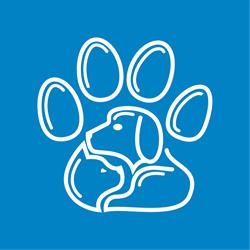 Ambulatorio Veterinario Loni -Marcucci -Lami, Pisa orari di apertura