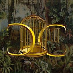 Cage Club, Rimini orari di apertura