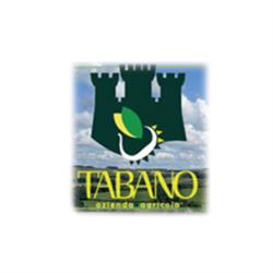 Azienda Agricola Tabano, Roccadaspide orari di apertura
