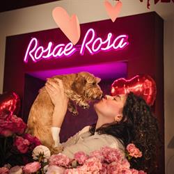 Rosae Rosa, Montegrotto Terme orari di apertura