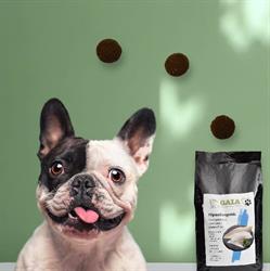 GAIA PET SHOP, Cisterna di Latina orari di apertura
