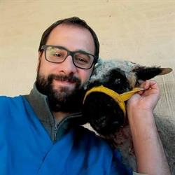 Clinica Veterinaria Borgomanero CVB - Dr. Salvatore Di Graci, orari di apertura