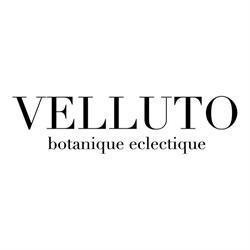 Velluto Botanique Eclectique, Bologna orari di apertura