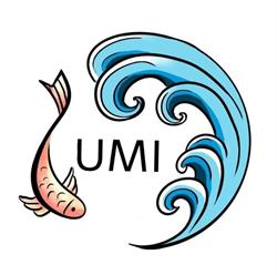 Umi sushi fusion bagno a Ripoli, Bagno a Ripoli orari di apertura