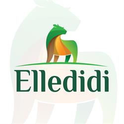 Macellerie Elledidi S.r.l., Cuneo orari di apertura