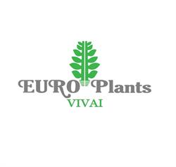 Euro Plants Vivai S.S. Società Agricola, Passaggio orari di apertura
