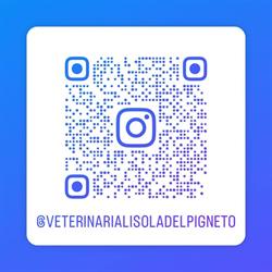 Veterinaria L'isola del Pigneto Roma, orari di apertura