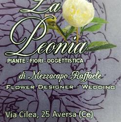 LA PEONIA FIORI PIANTE OGGETTISTICA BOMBONIERE, Aversa orari di apertura