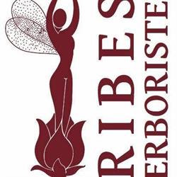 Ribes Erboristeria, San Giovanni in Fiore orari di apertura