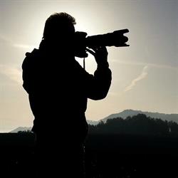 ROBERTO BERETTA FOTOGRAFO, Alfonsine orari di apertura