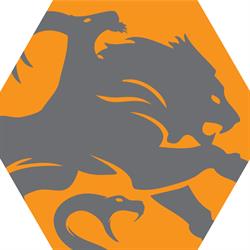 Chimera Informatica Castrocaro, Castrocaro Terme e Terra del Sole orari di apertura