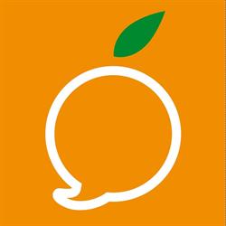 Mandarino Languages Studio - Scuola Di Lingue, Reggio Emilia orari di apertura