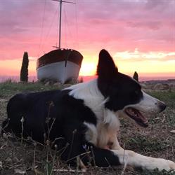 Agriturismo Il Giulivo, San Vincenzo orari di apertura