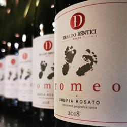 Cantina Eraldo Dentici, Montefalco orari di apertura