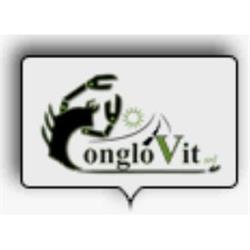 Conglovit S.r.l. Chiavarino, Viterbo orari di apertura