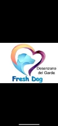 Fresh dog Desenzano del Garda, orari di apertura