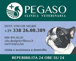 Clinica Veterinaria Pegaso, Conversano orari di apertura