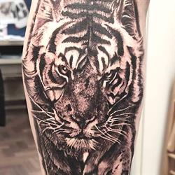 Blue Shark Tattoo, Cinisello Balsamo orari di apertura