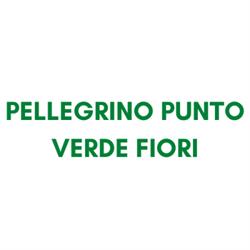 Pellegrino Punto Verde Fiori, Venosa orari di apertura