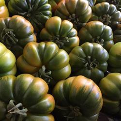 Centro Ingrosso Ortofrutta, Guidonia Montecelio orari di apertura
