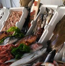 Pescheria Da Lucio, Sapri orari di apertura