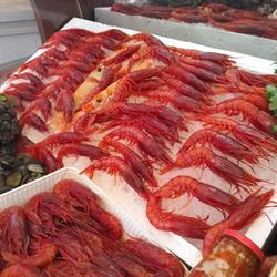 Pizzeria Portaportese Angelo Ibba, Cagliari orari di apertura