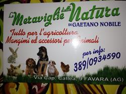 Le Meraviglie della Natura, Favara orari di apertura