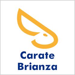Solo Affitti, Carate Brianza orari di apertura