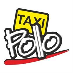 Pollo Taxi, Trapani orari di apertura