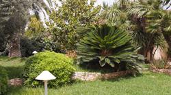 Villa Bellino B&B, Noicattaro orari di apertura