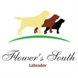 Flower's South, Scanzano Jonico orari di apertura