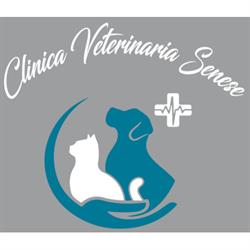 Clinica Veterinaria Senese, Siena orari di apertura