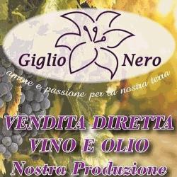 Giglio Nero Azienda Agricola - Negozio Vendita Diretta Vino e Olio, San Giovanni Valdarno orari di apertura